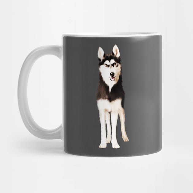 Husky Dog, Love Huskies, Dog Lover by dukito